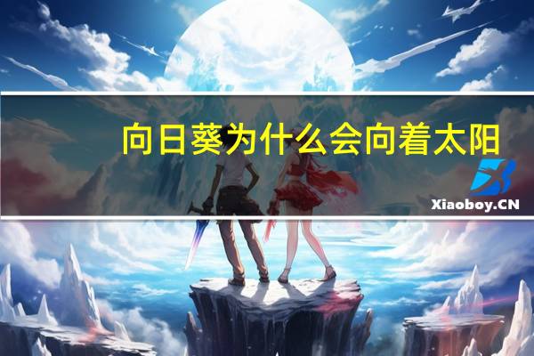 向日葵为什么会向着太阳_