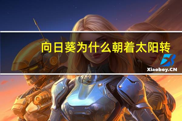 向日葵为什么朝着太阳转