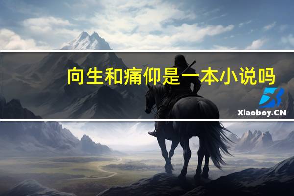 向生和痛仰是一本小说吗