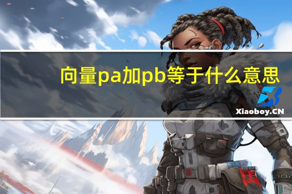 向量pa加pb等于什么意思