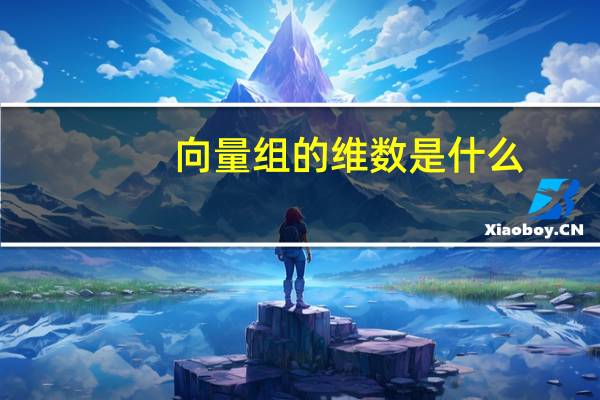 向量组的维数是什么