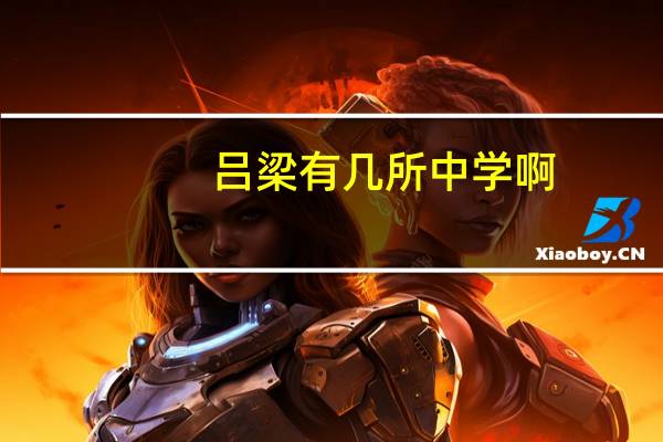 吕梁有几所中学啊