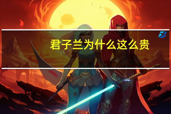 君子兰为什么这么贵