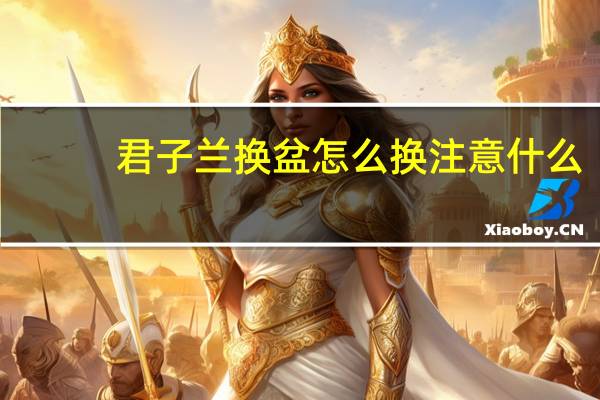 君子兰换盆怎么换注意什么