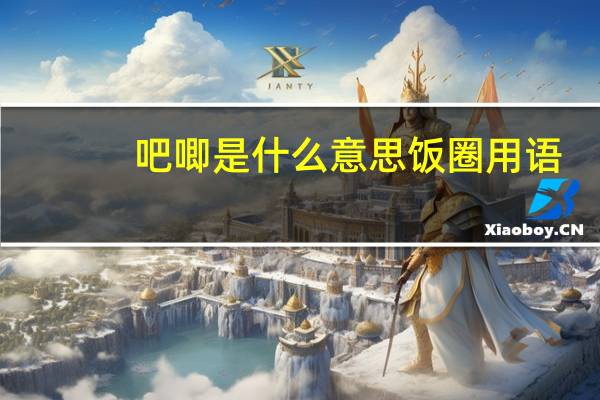 吧唧是什么意思饭圈用语