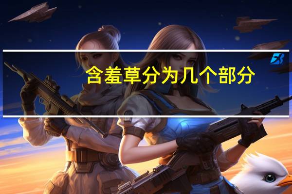含羞草分为几个部分