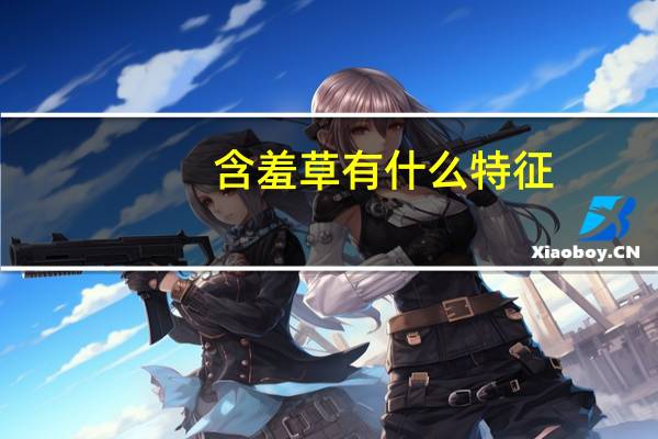 含羞草有什么特征