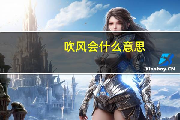 吹风会什么意思