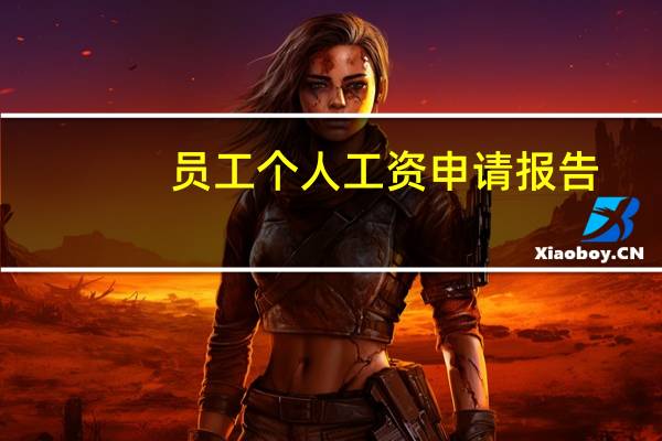 员工个人工资申请报告