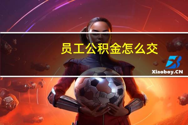 员工公积金怎么交