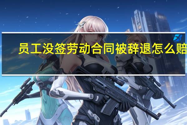 员工没签劳动合同被辞退怎么赔偿