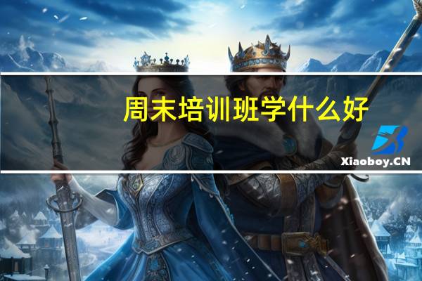 周末培训班学什么好