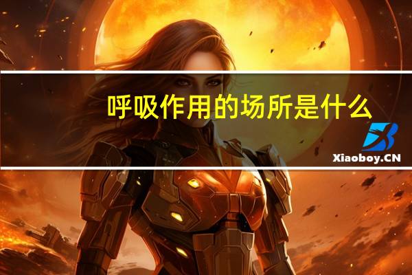 呼吸作用的场所是什么