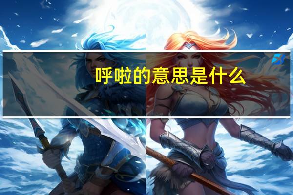 呼啦的意思是什么