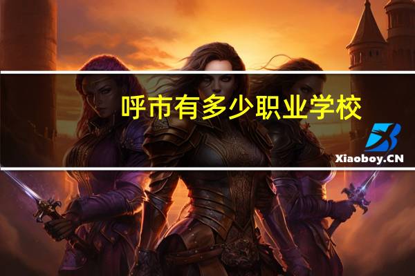 呼市有多少职业学校