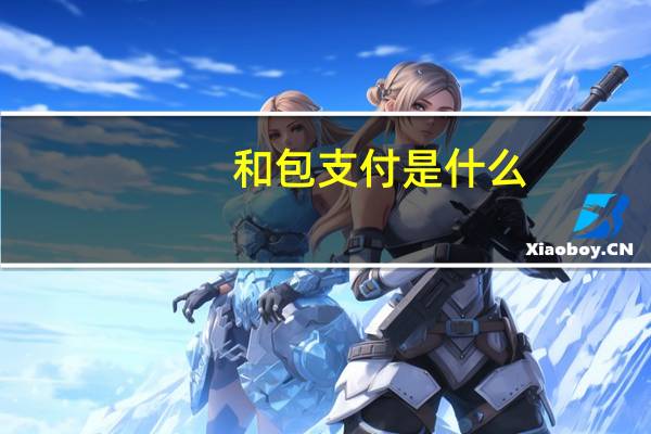 和包支付是什么