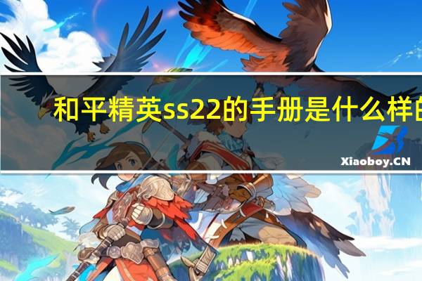 和平精英ss22的手册是什么样的
