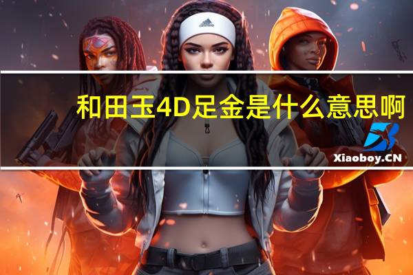 和田玉4D足金是什么意思啊