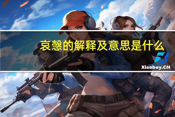 哀愨的解释及意思是什么
