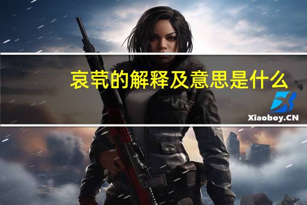 哀茕的解释及意思是什么