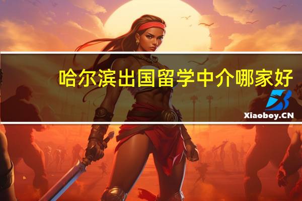 哈尔滨出国留学中介哪家好-建议选择口碑好的正规中介