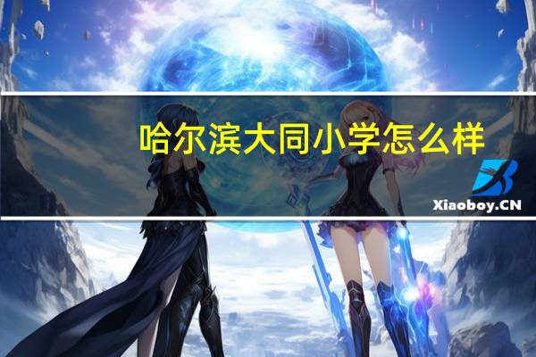 哈尔滨大同小学怎么样