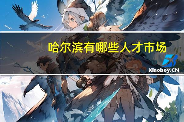 哈尔滨有哪些人才市场