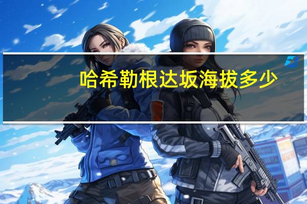 哈希勒根达坂海拔多少