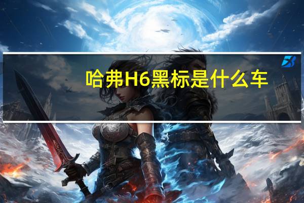 哈弗H6黑标是什么车