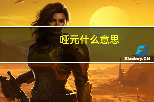 哑元什么意思