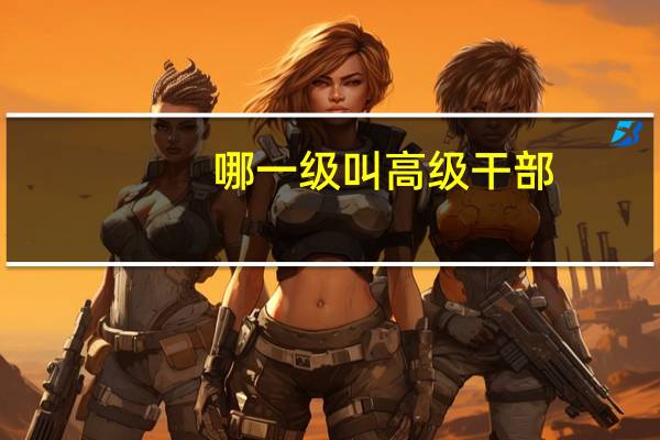 哪一级叫高级干部