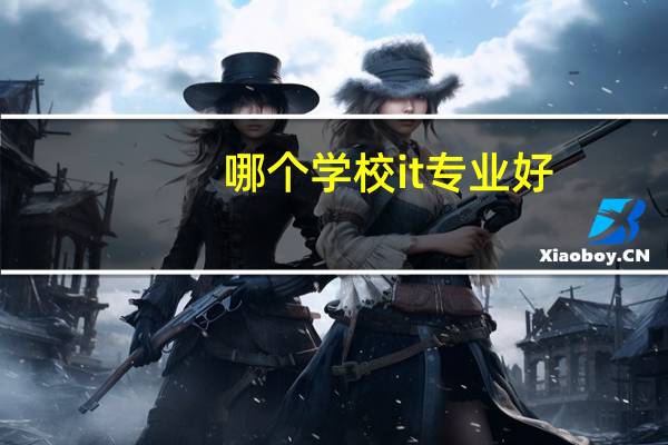 哪个学校it专业好