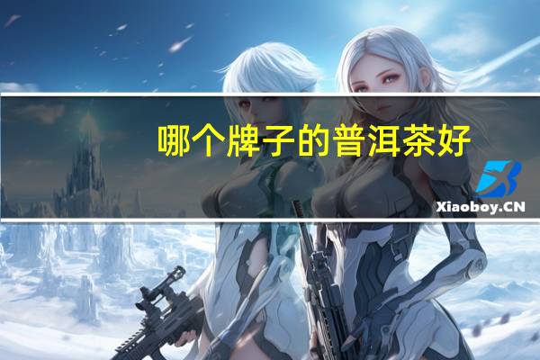 哪个牌子的普洱茶好