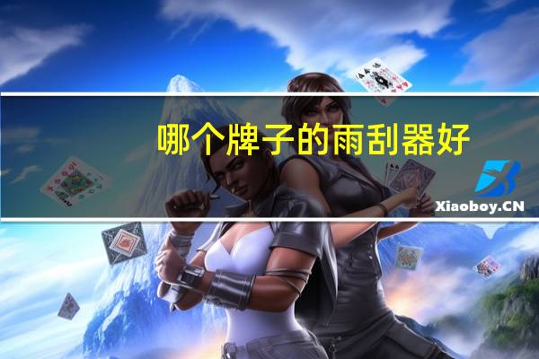 哪个牌子的雨刮器好