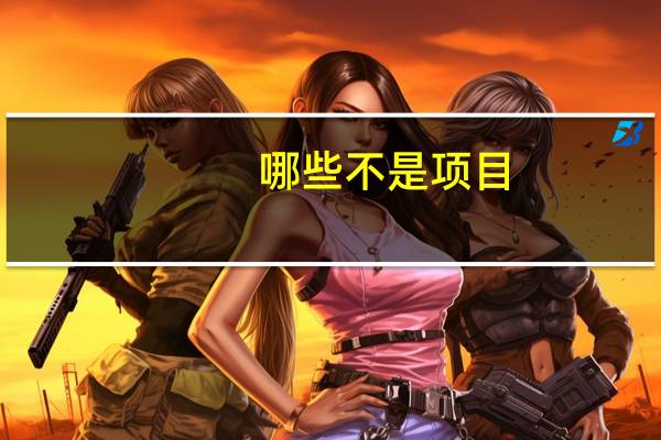 哪些不是项目