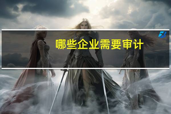 哪些企业需要审计