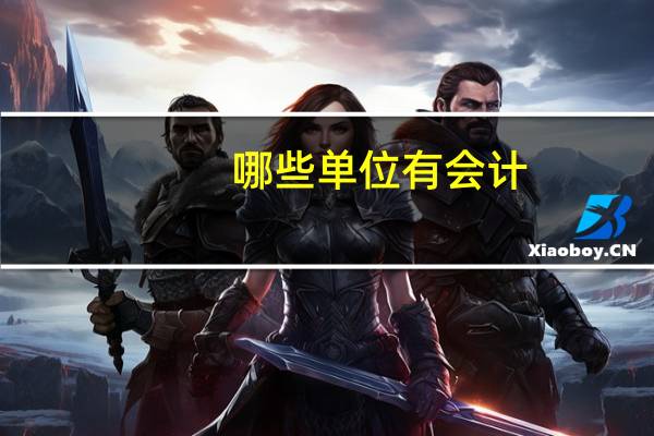 哪些单位有会计