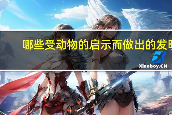哪些受动物的启示而做出的发明