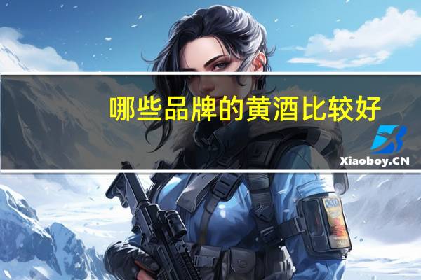 哪些品牌的黄酒比较好？