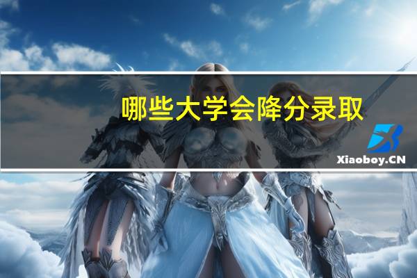 哪些大学会降分录取