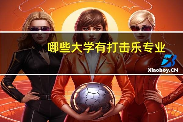 哪些大学有打击乐专业