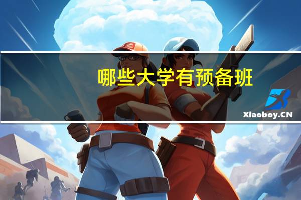 哪些大学有预备班