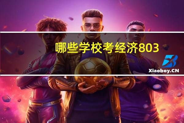 哪些学校考经济803