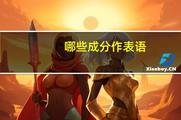 哪些成分作表语