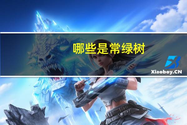 哪些是常绿树