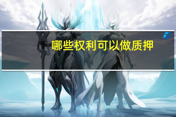 哪些权利可以做质押