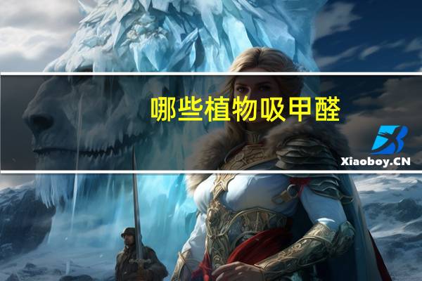 哪些植物吸甲醛