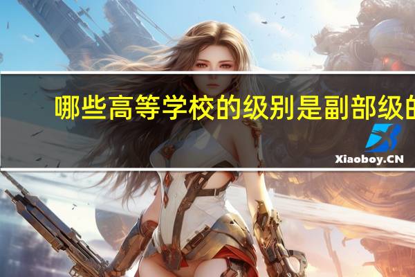 哪些高等学校的级别是副部级的？