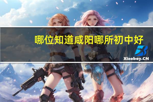 哪位知道咸阳哪所初中好