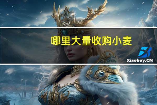 哪里大量收购小麦